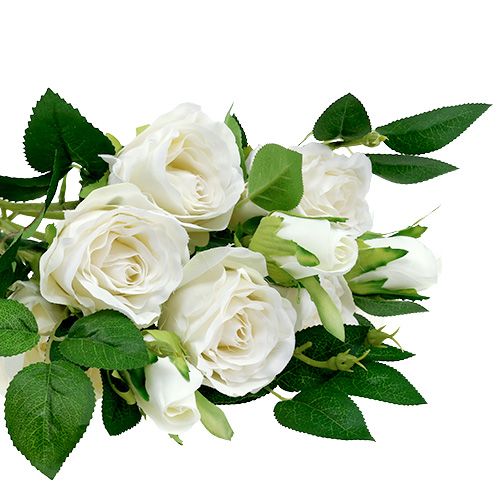 Produkt Bukiet róż biały L46cm