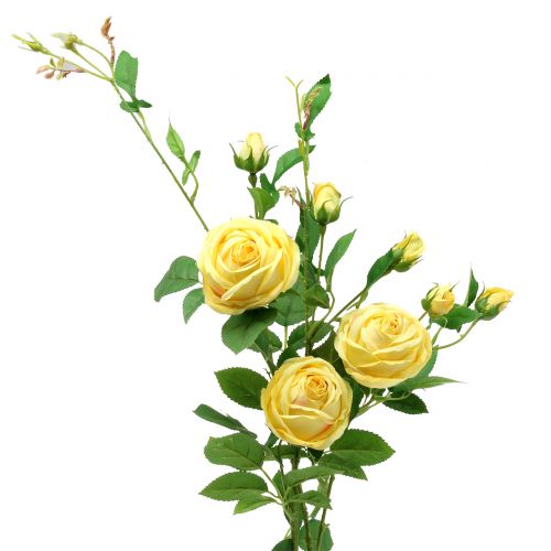 Floristik24 Gałąź róży żółta 100 cm