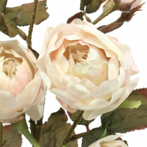Produkt Róża gałązka sztuczna kremowa biała 76cm