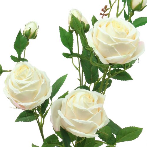 Produkt Gałązka różana Crème/Rosè 100cm