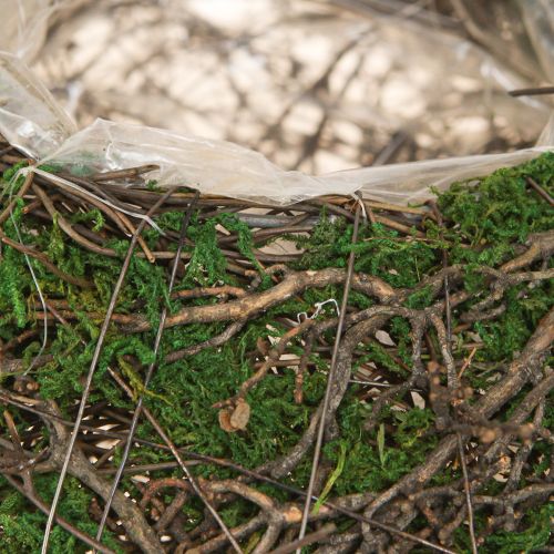 Produkt Doniczka okrągła na mch z folią Ø20cm wys.7cm