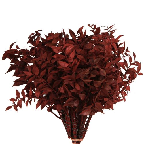 Produkt Gałązki dekoracyjne Ruscus Red suszone na drucie 20cm 1 pęczek