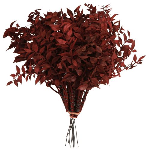 Produkt Gałązki dekoracyjne Ruscus Red suszone na drucie 20cm 1 pęczek