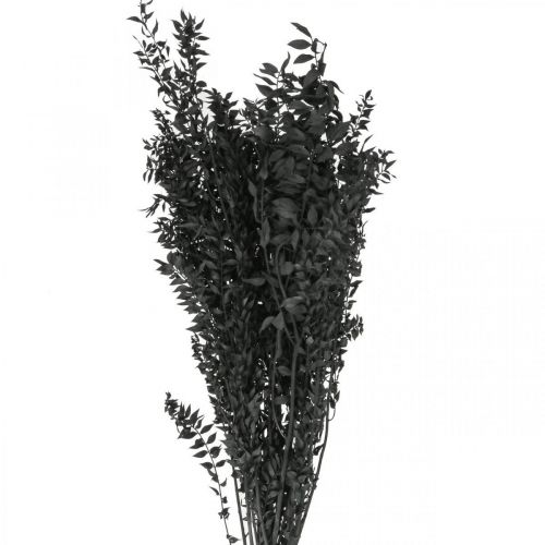 Ruscus Twigs Deco Gałązki Suszone Kwiaty Czarne 200g