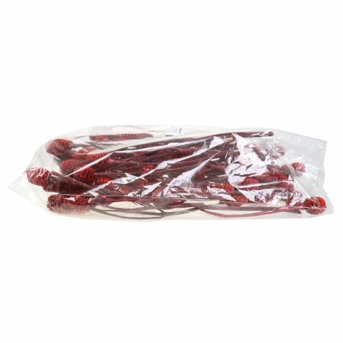 Produkt Gałązki dekoracyjne Sabulosum czerwone matowe 4-6 25 szt