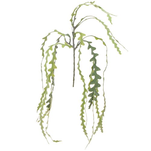 Produkt Sztuczny liść piły Kaktus Epiphyllum anguliger L68cm 3 szt