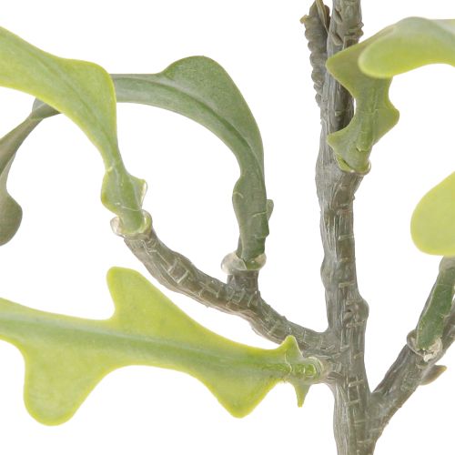 Produkt Sztuczny liść piły Kaktus Epiphyllum anguliger L68cm 3 szt