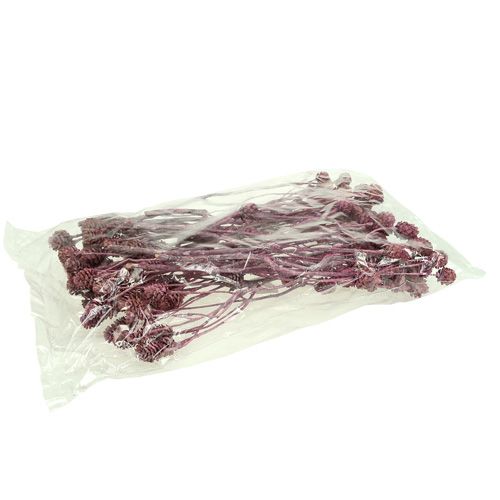 Produkt Salignum jeżyna mrożona 25 szt