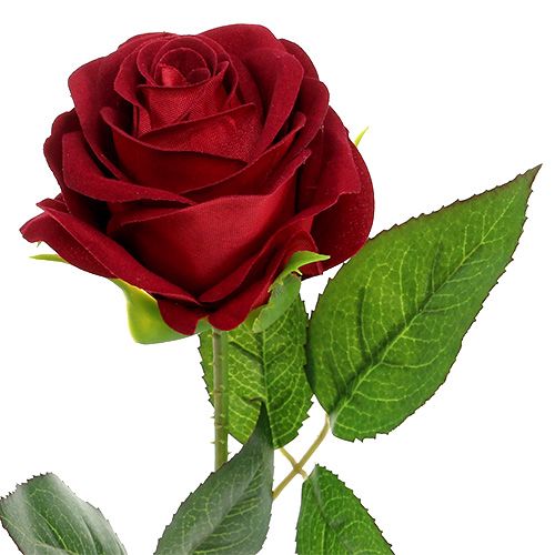 Produkt Velvet Rose Red 65cm 6szt