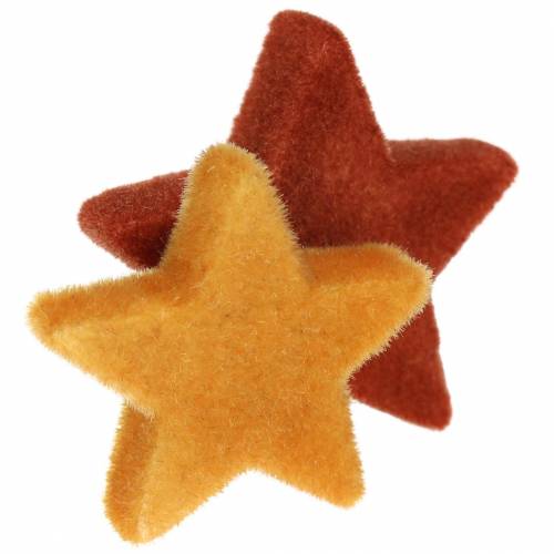 Floristik24 Dekoracja rozproszona mieszanka curry w kształcie gwiazdek, rooibos 4cm/5cm 40 szt