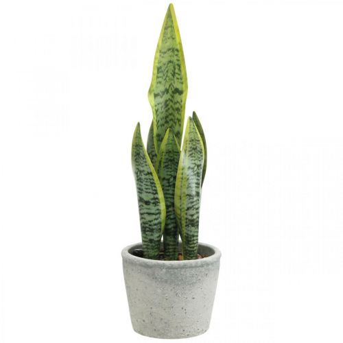 Floristik24 Konopie sztuczne łuk, zielona roślina w doniczce, Sansevieria W39cm Ø12cm