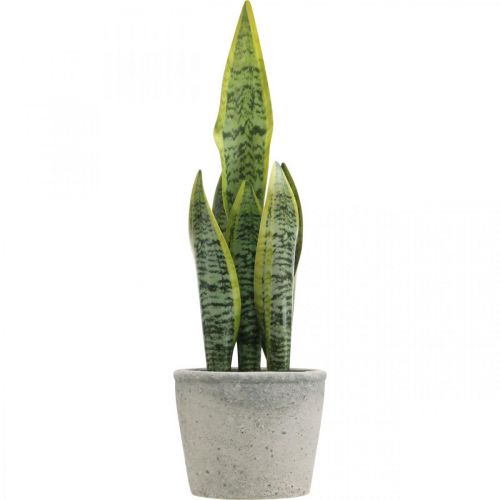 Floristik24 Konopie sztuczne łuk, zielona roślina w doniczce, Sansevieria W39cm Ø12cm