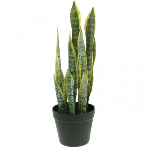 Floristik24 Sansevieria, sztuczny kwiat, konopie dziobowe w doniczce W50cm Ø14cm