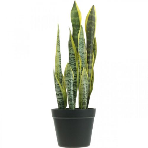 Floristik24 Sansevieria, sztuczny kwiat, konopie dziobowe w doniczce W50cm Ø14cm