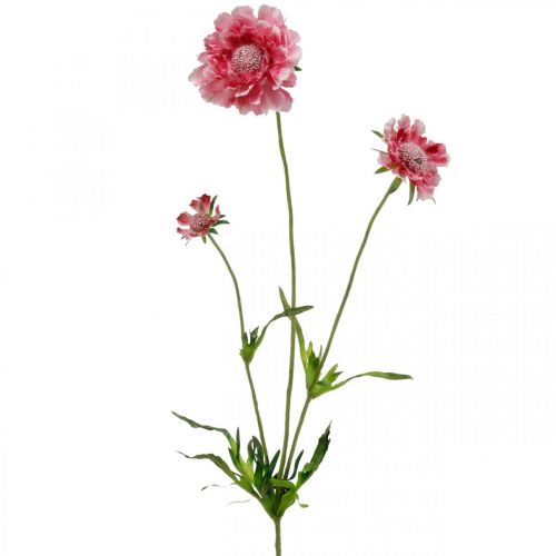Floristik24 Sztuczna dekoracja kwiatowa, sztuczny kwiat świerzbu różowy 64 cm pakiet 3 sztuk