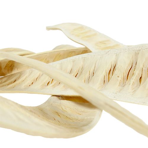 Produkt Strąki Scaletta bielone 25 szt