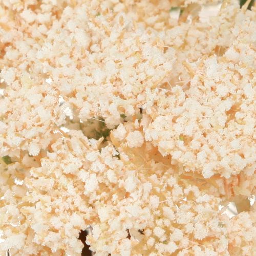 Produkt Krwawnik sztuczny krem Achillea kwiaty sztuczne 30cm 6 szt