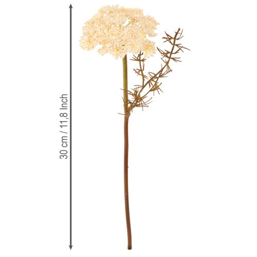 Produkt Krwawnik sztuczny krem Achillea kwiaty sztuczne 30cm 6 szt