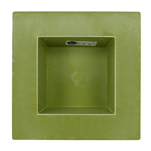 Floristik24 Miska kwadratowa jasnozielona 20cm x 20cm, 1szt.