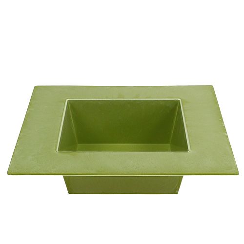 Floristik24 Miska kwadratowa jasnozielona 20cm x 20cm, 1szt.