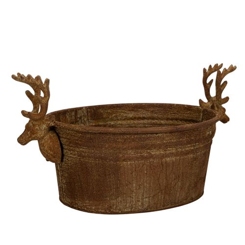 Miska dekoracyjna, głowa renifera, owalna, rdzawa, rustykalna, 41 cm kupić | Floristik24.pl