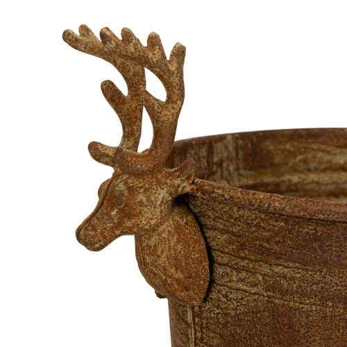 Miska dekoracyjna, głowa renifera, owalna, rdzawa, rustykalna, 41 cm | Floristik24.pl