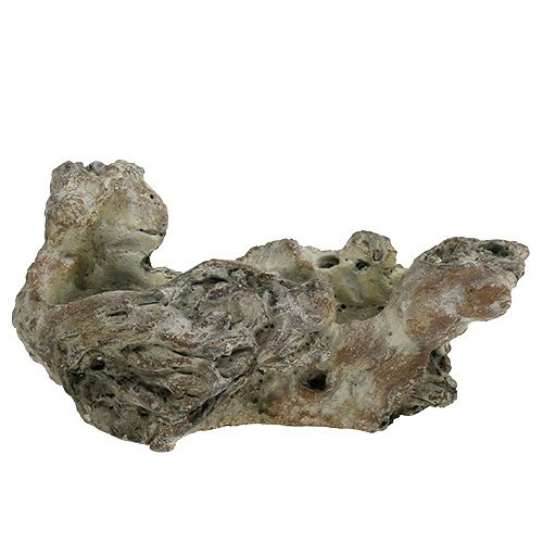 Floristik24 Misa Wood Root 25,5cm x 14cm H11,5cm