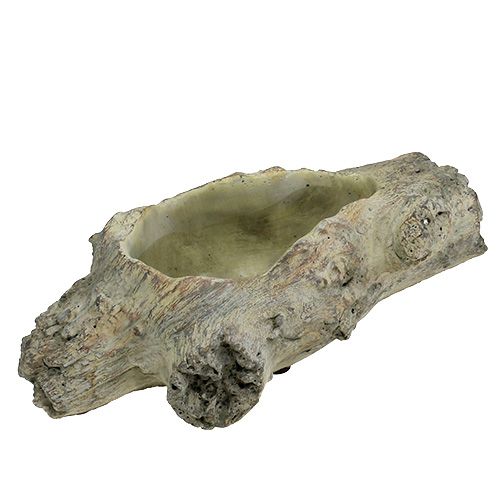 Floristik24 Miska do sadzenia 30cm x 13cm H8,5cm