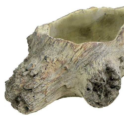 Floristik24 Miska do sadzenia 30cm x 13cm H8,5cm