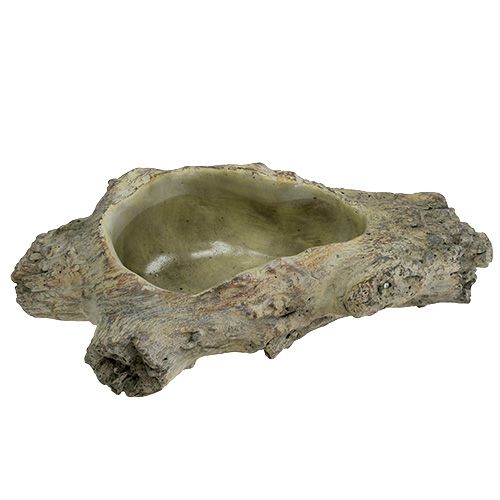 Floristik24 Miska do sadzenia 30cm x 13cm H8,5cm
