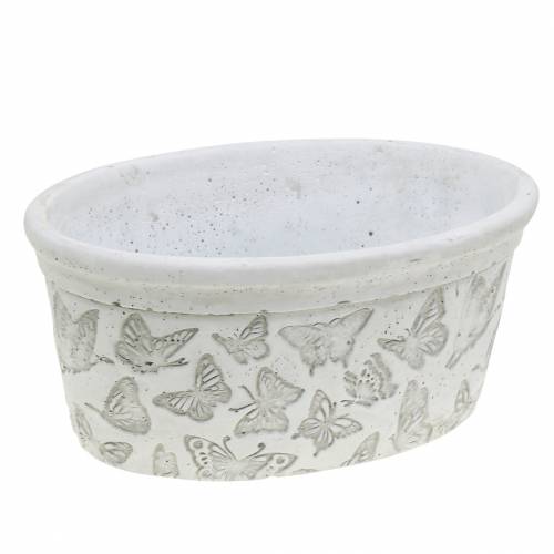 Floristik24 Doniczka Miska biała z motylkami 21cm x 14cm H9,5cm 2szt.