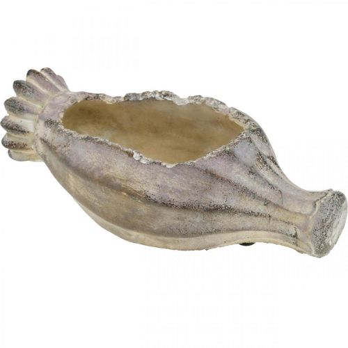 Floristik24 Kapsułka makowa do sadzenia, betonowa dekoracja, doniczka, dekoracja ogrodowa L29,5cm
