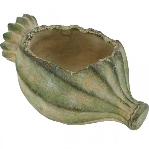 Floristik24 Dekoracyjna kapsuła makowa, betonowa donica, skrytka, dekoracja grobu L26cm