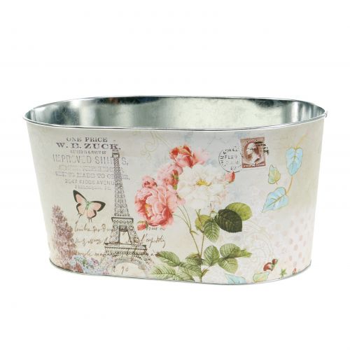 Floristik24 Planter Bowl Roses Oval 22,5cm x 13,5cm H11cm