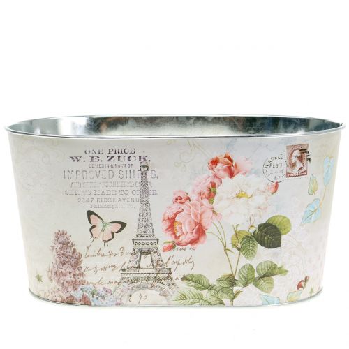 Floristik24 Planter Bowl Roses Oval 22,5cm x 13,5cm H11cm