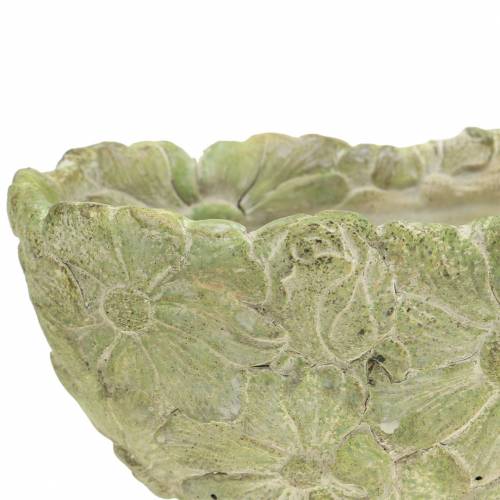 Floristik24 Miska roślinna owalna zielona 22×11,5cm W10cm