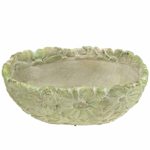 Floristik24 Miska roślinna owalna zielona 22×11,5cm W10cm