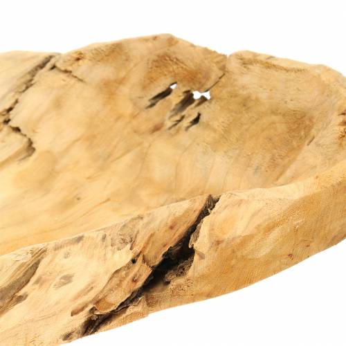 Misa korzeń drewno 50cm x 17cm H8cm