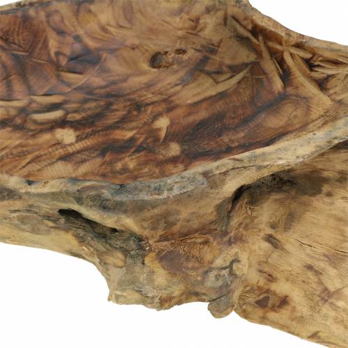 Floristik24 Misa korzeń drewno płomieniowane 70cm x 27cm H12cm