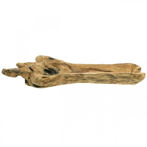 Floristik24 Miska dekoracyjna drewno paulownia, taca na kwiaty, naczynie drewniane dł.58cm wys.7–8cm