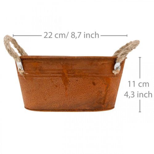 Floristik24 Misa metalowa z uchwytami, dekoracja jesienna, donica z patyną dł.22cm wys.11cm