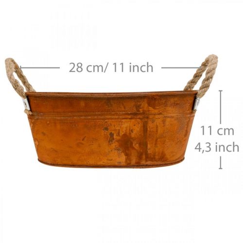 Floristik24 Doniczka z uchwytami, miska na zioła, dekoracja jesienna, patyna dł.28cm wys.11cm