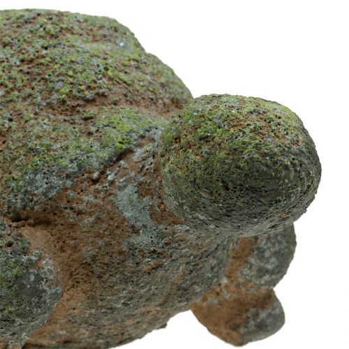 Floristik24 Figura ogrodowa żółw omszony 30cm x 18cm H15cm