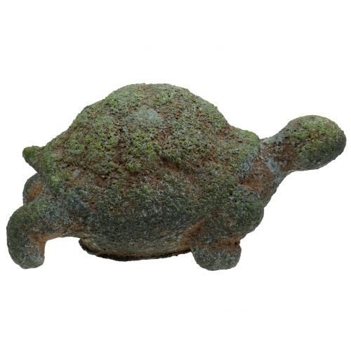 Floristik24 Figura ogrodowa żółw omszony 30cm x 18cm H15cm