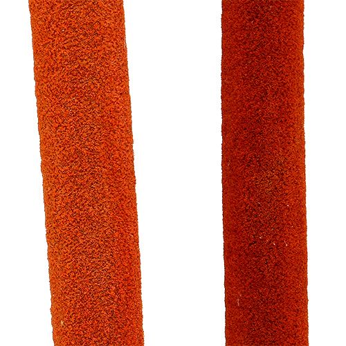 Produkt Mieszanka cebul trzcinowych pomarańczowa 100 szt