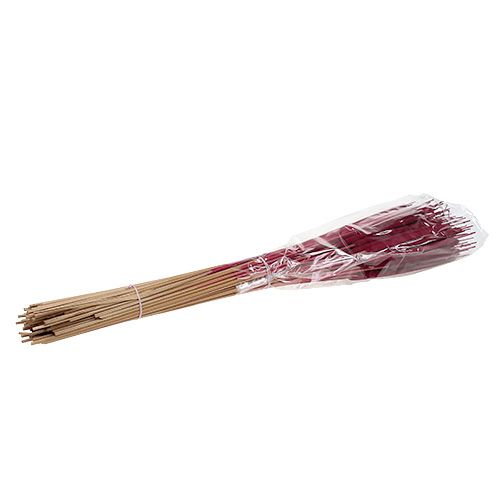 Produkt Mieszanka cebul trzcinowych Erika 100 szt