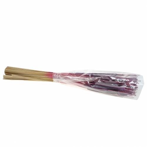 Produkt Mieszanka cebul trzcinowych fioletowa, bielona 100 szt