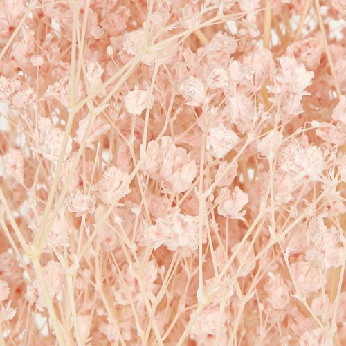 Produkt Gipsówka Dekoracja Pomarańczowe Suszone Trawy Brzoskwiniowe 65-70cm 100g