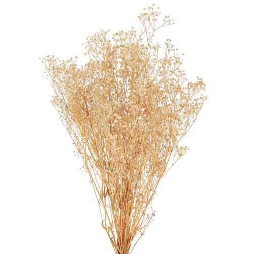 Floristik24 Gypsophila Bratek Gipsowy Ziele Kwiaty Białe 50cm 55g