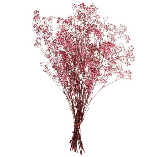 Produkt Gypsophila paniculata Ziele gipsowe w jagodzie L50cm 55g
